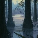 Swamp
