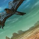 Mesa Falcon