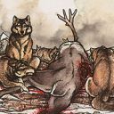 Tundra Wolves