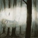 Fog Elemental