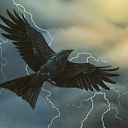 Storm Crow
