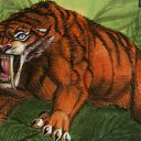 Sabretooth Tiger