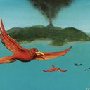 Birds of Paradise