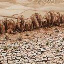 Fallow Earth