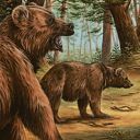 Grizzly Bears