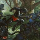 Panther Warriors