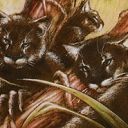 Uktabi Wildcats