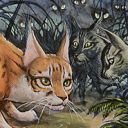 Waiting in the Weeds