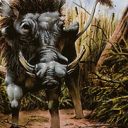 Warthog