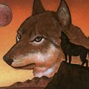 Wyluli Wolf