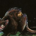 Plague Rats