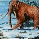 War Mammoth