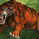 Sabretooth Tiger