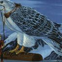 Kjeldoran Skycaptain