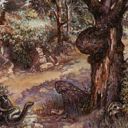 Havenwood Battleground