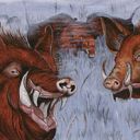 Durkwood Boars