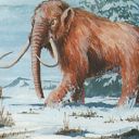War Mammoth