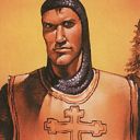 Northern Paladin