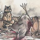 Tundra Wolves