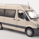 Mercedes Sprinter station wagon, silver-beige