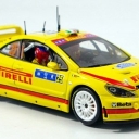 Peugeot 307 WRC, Galli, tour de Course