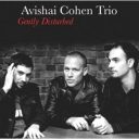 AVISHAI COHEN - GENTLY DISTURBED