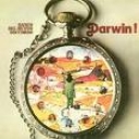 BANCO DEL MUTUO SOCCORSO - DARWIN