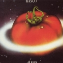 BANCO DEL MUTUO SOCCORSO - DI TERRA