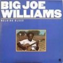 BIG JOE WILLIAMS - WALKING BLUES