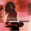 BOB MARLEY - MARLEY REMIXED - SHAKE DOWN