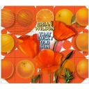 BRIAN WILSON - THAT LUCKY OLD SUN