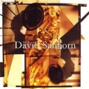 DAVID SANBORN - THE BEST OF DAVID SANBORN