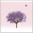 EELS - TOMMOROW MORNING