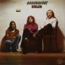 GROUNDHOGS THE - SOLID
