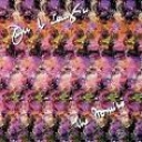 JOHN McLAUGHLIN - THE PROMISE