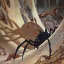 Penumbra Spider