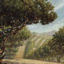 Exotic Orchard