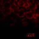 O.S.I. - BLOOD