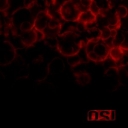 O.S.I. - BLOOD - Ltd ed