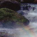 Vivid Creek