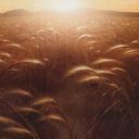 Plains