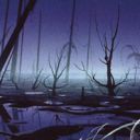 Swamp