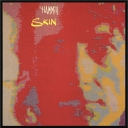 PETER HAMMILL - SKIN - remaster