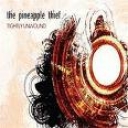 PINEAPPLE THIEF - TIGHTLY UNWOUND - digi