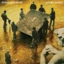SEBASTIAN BACH - ANGEL DOWN
