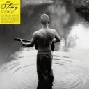 STING - 25 YEARS - THE BEST OF digi