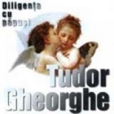 TUDOR GHEORGHE - DILIGENTA CU PAPUSI