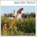 WALTER TROUT - COMMON GROUND