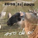 ZDOB SI ZDUB - 450 DE OI