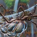 Aquastrand Spider